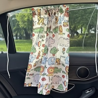 Rideau voiture
